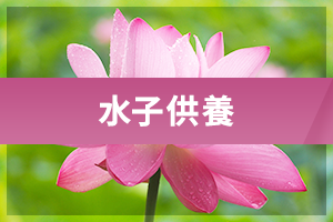 水子供養