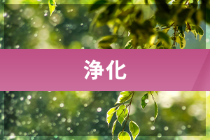 浄化
